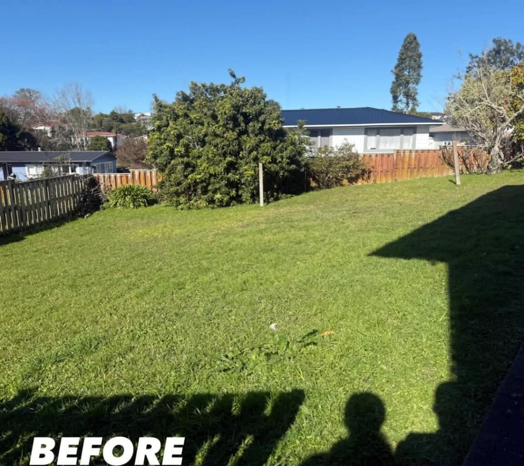 Backyard Mow & Trim — before lawn care work