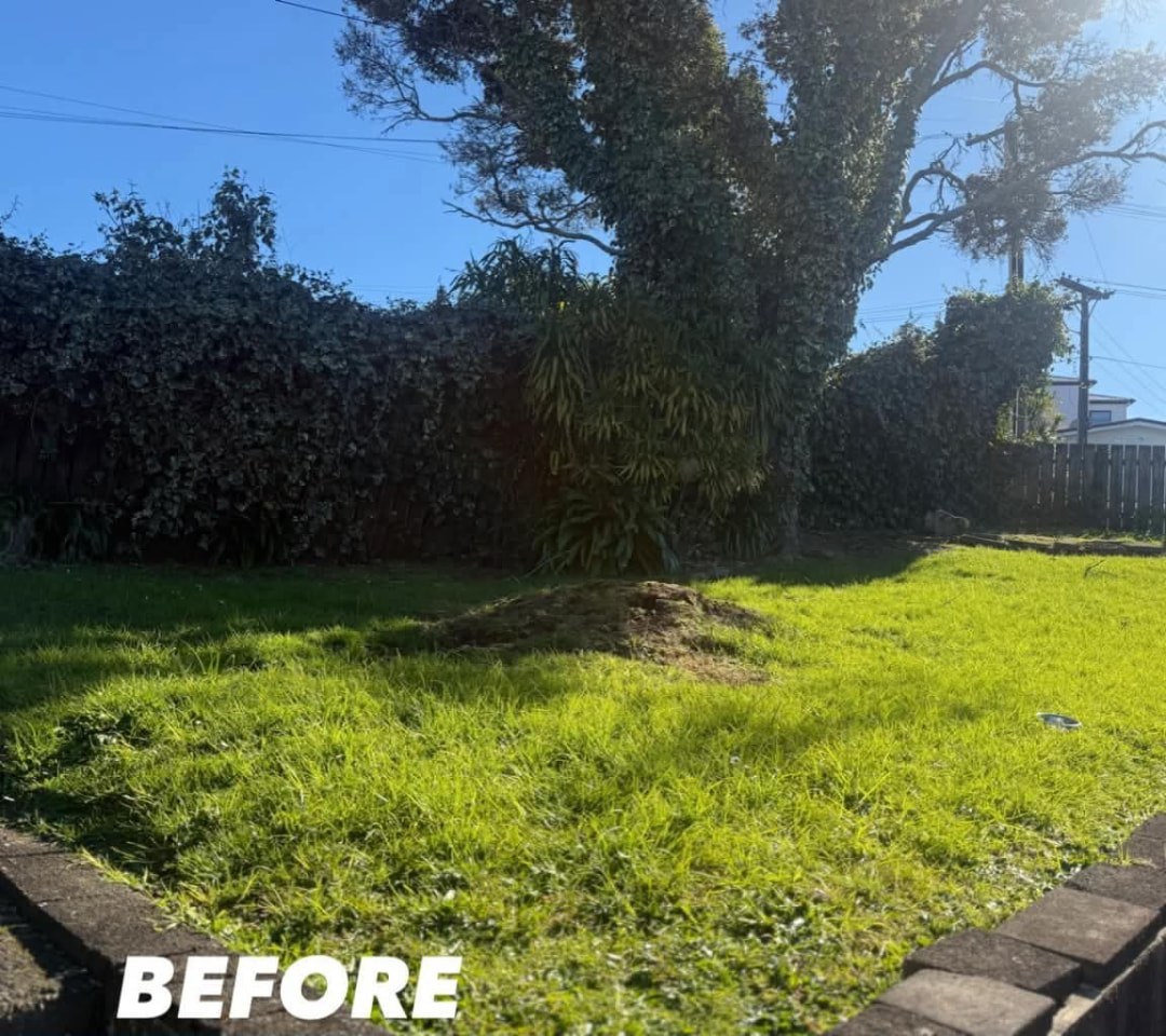 Hedge Line & Lawn Tidy — before lawn care work