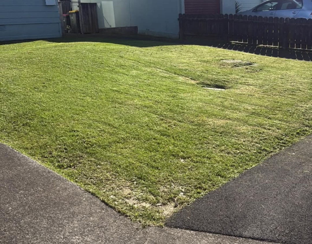 Side lawn mown with clean edges along the driveway and paths