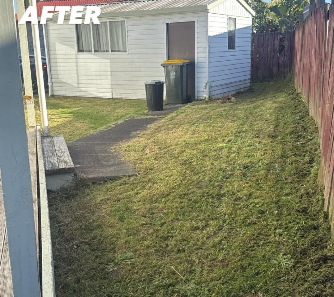 Path & Shed Surround Clean Up — after professional lawn care by Tauwhare Lawn Care Services