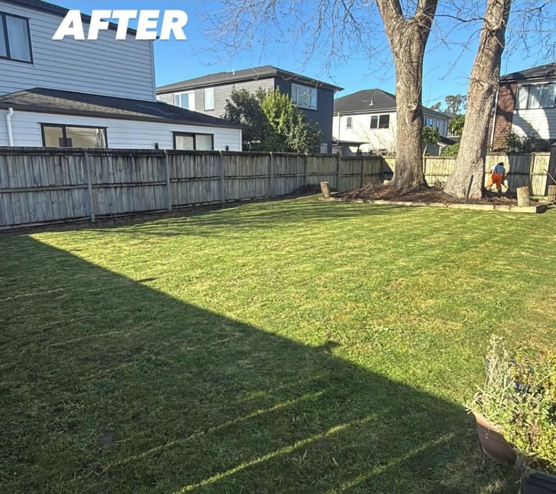 Backyard Mow & Tree Corner Clear — after professional lawn care by Tauwhare Lawn Care Services