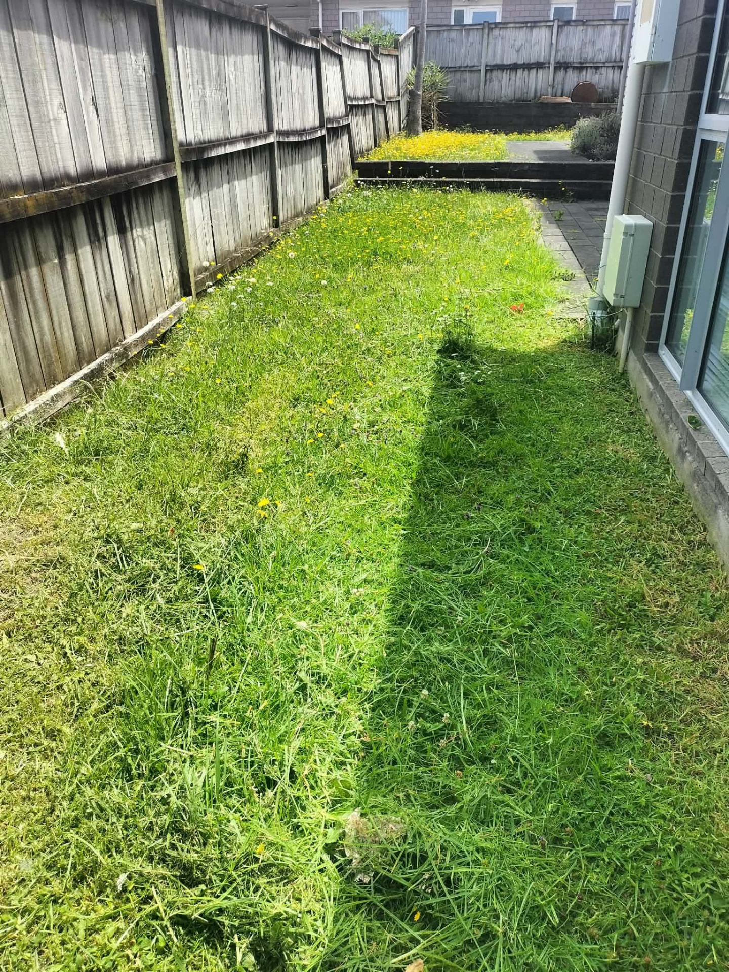 Narrow side lawn freshly mowed by Tauwhare Lawn Care Services