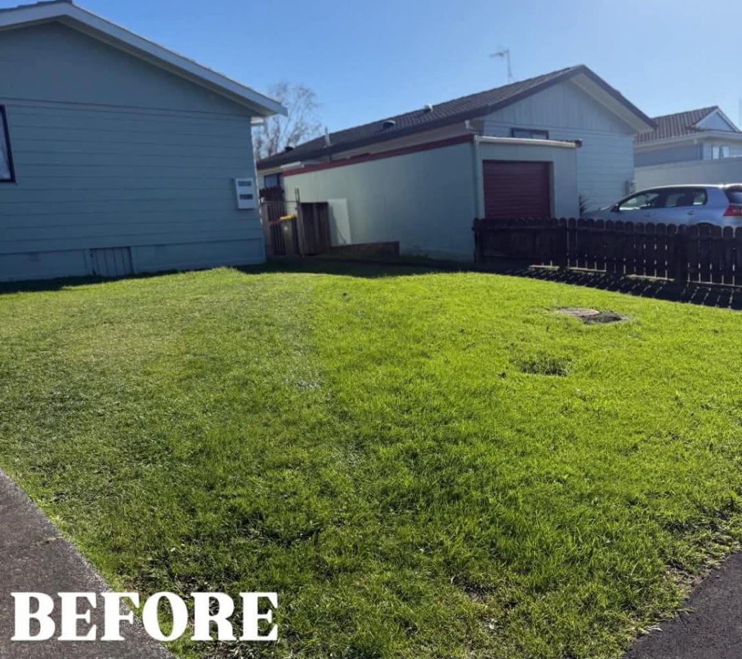 Front Yard Mow & Stripe — before lawn care work
