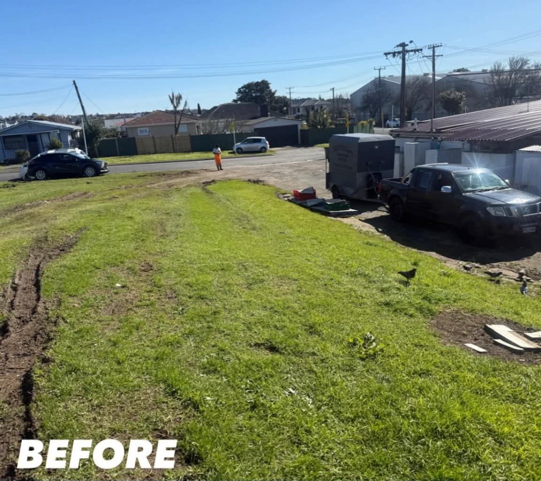 Roadside Verge Clean Up — before lawn care work