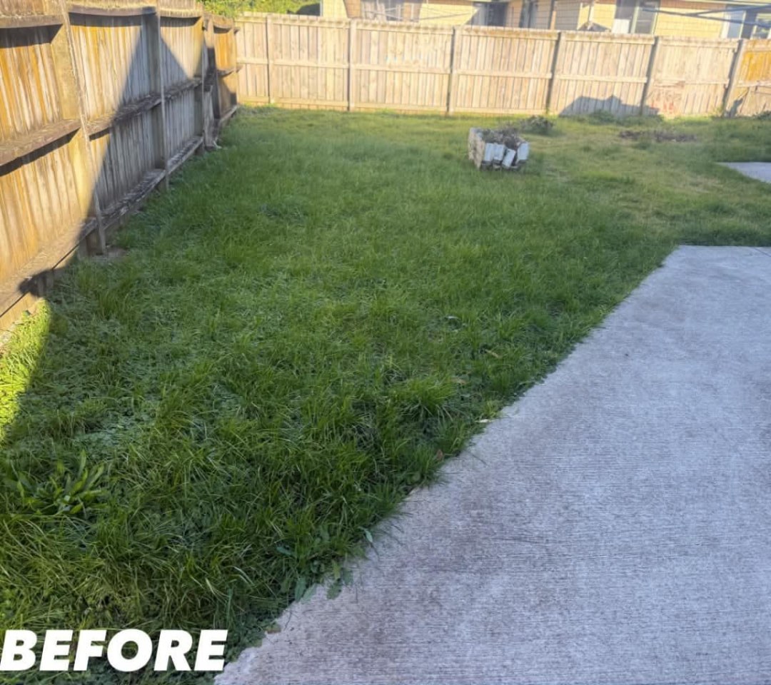 Driveway & Backyard Mow — before lawn care work