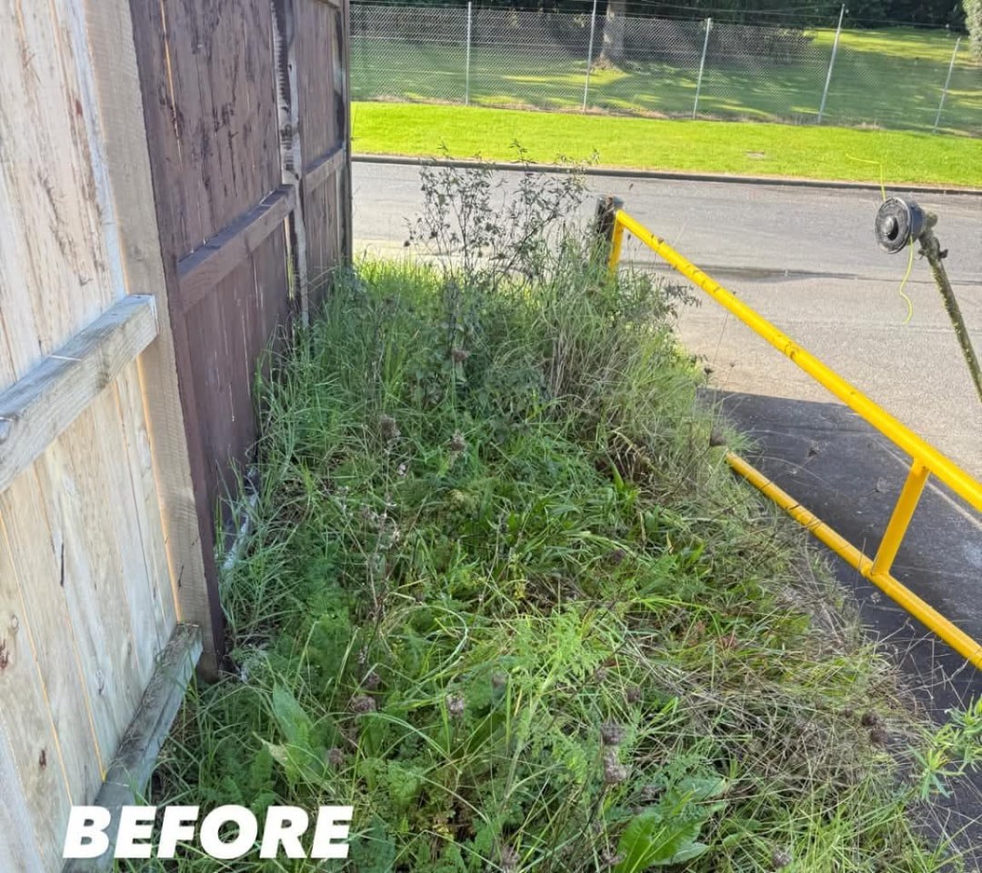 Commercial Fence Line Clear — before lawn care work