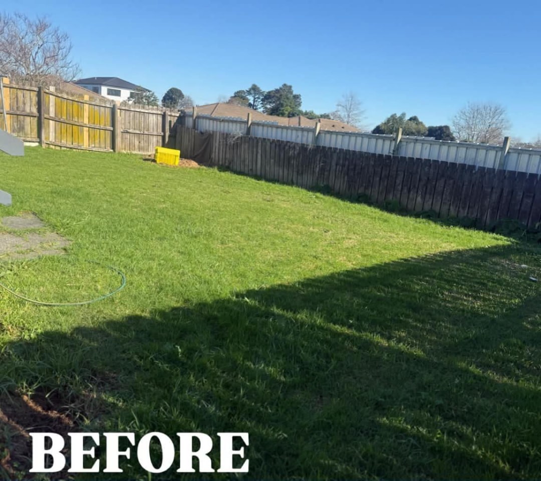 Backyard Lawn Cut — before lawn care work