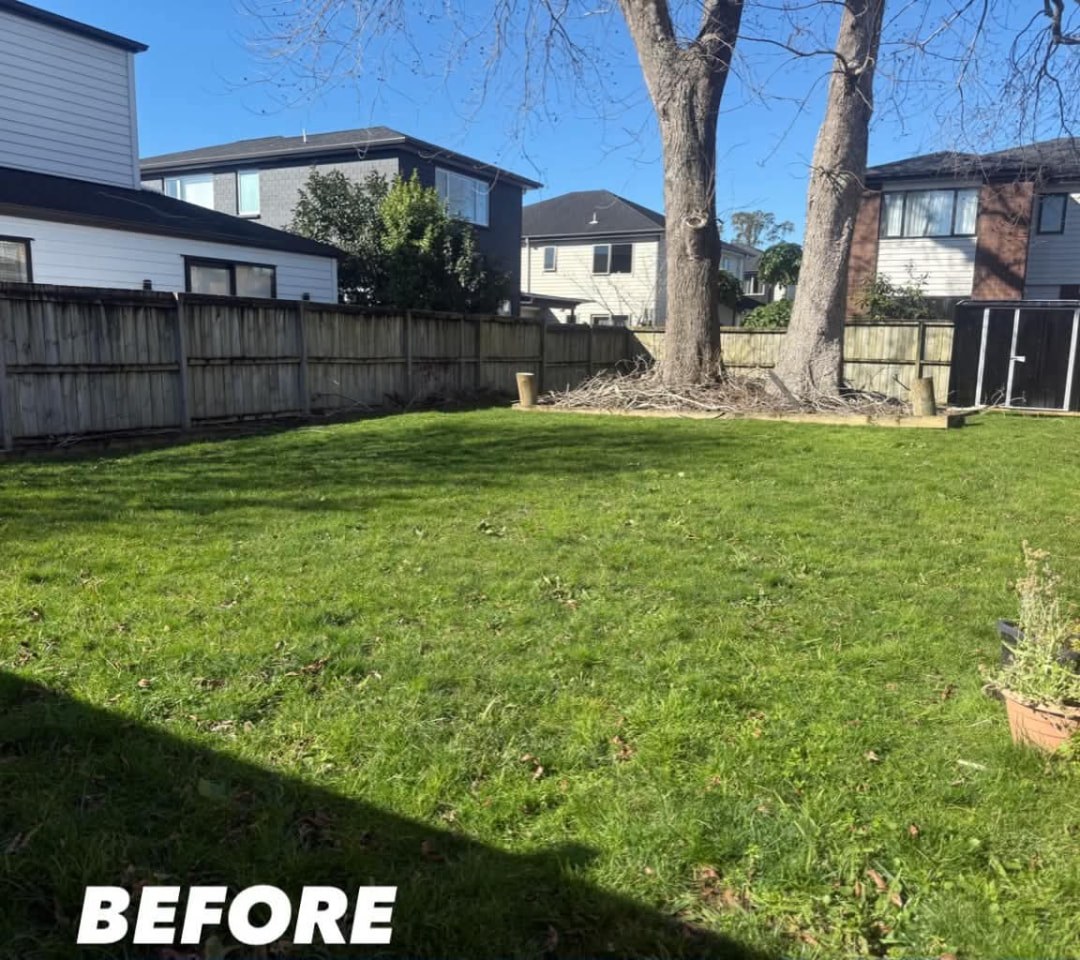 Backyard Mow & Tree Corner Clear — before lawn care work