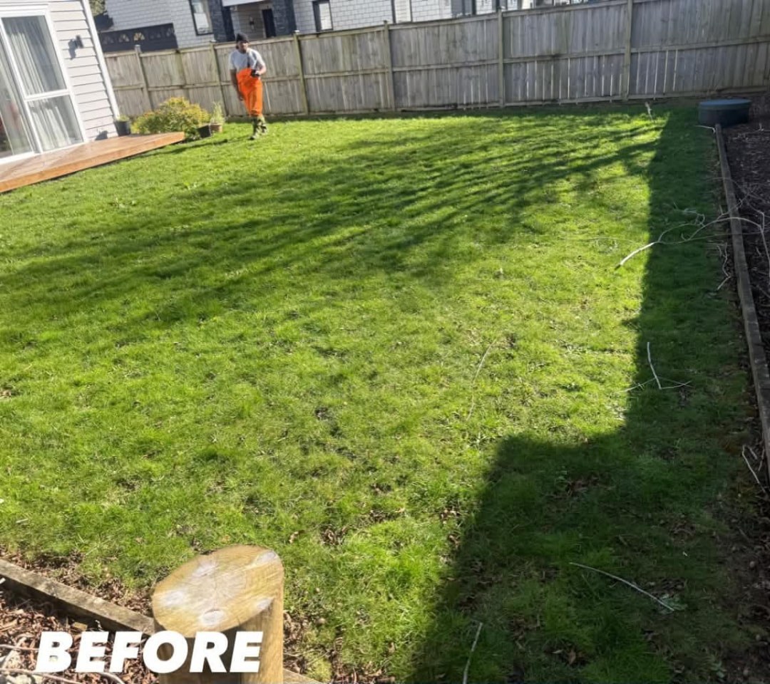New Build Backyard Mow — before lawn care work