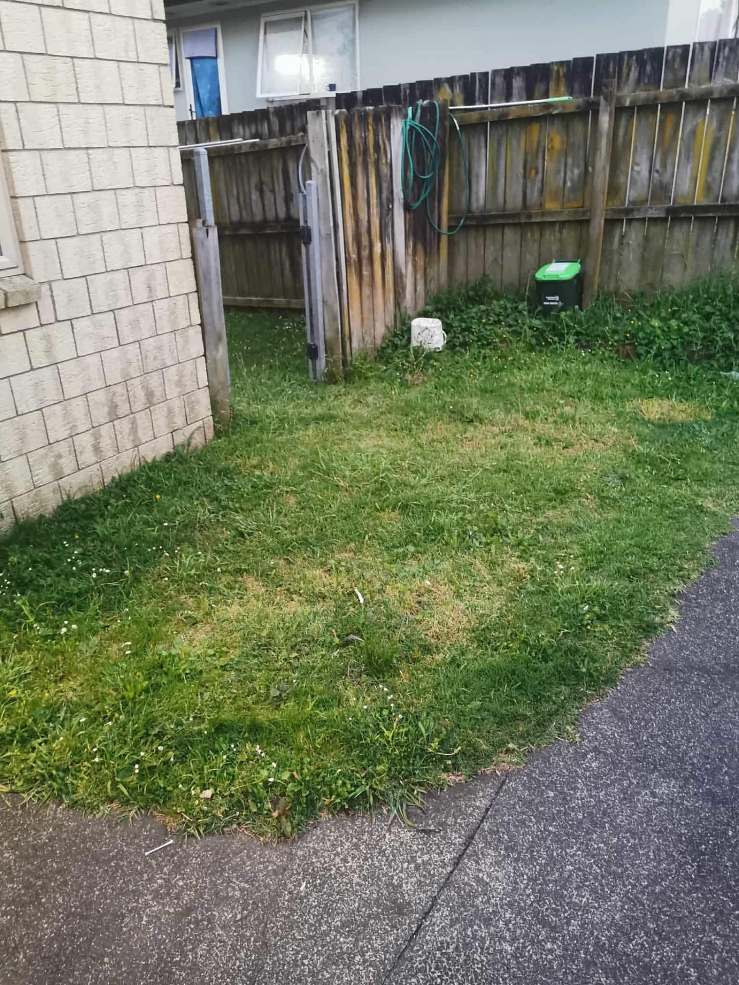 Side lawn and driveway edge tidied by Tauwhare Lawn Care Services