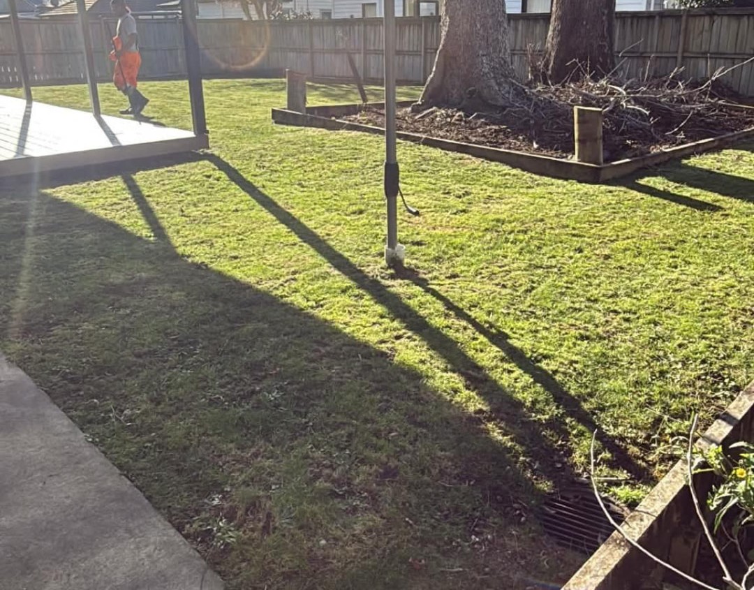 Backyard garden bed tidied around the tree with the lawn freshly cut