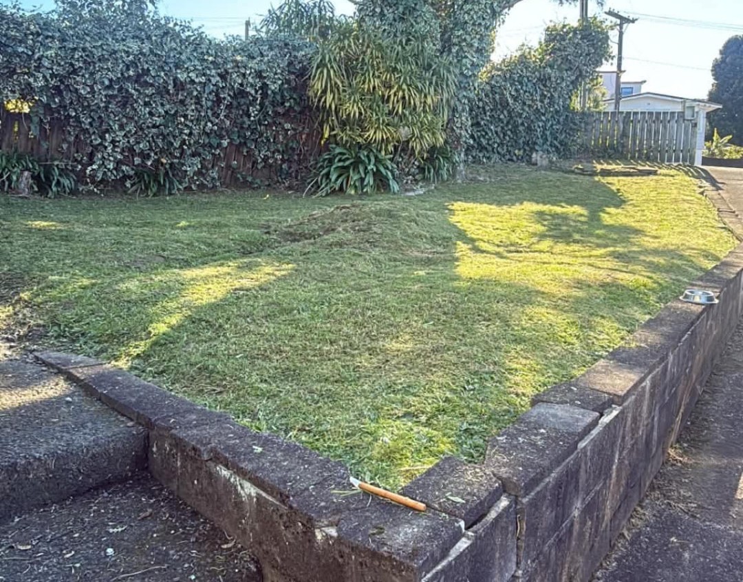 Trimmed hedge and fence line with the lawn cut back to a tidy finish