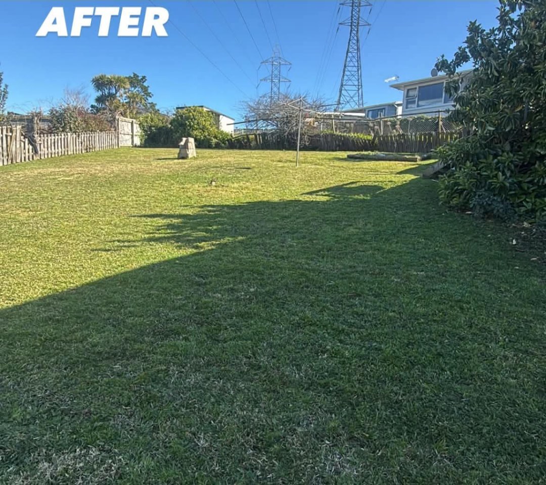 Open Back Lawn Mow — after professional lawn care by Tauwhare Lawn Care Services